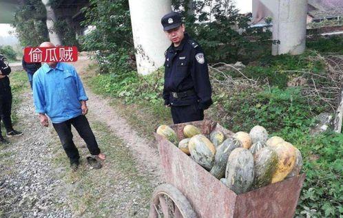 德昌最新吃瓜事件,揭秘背后真相与争议