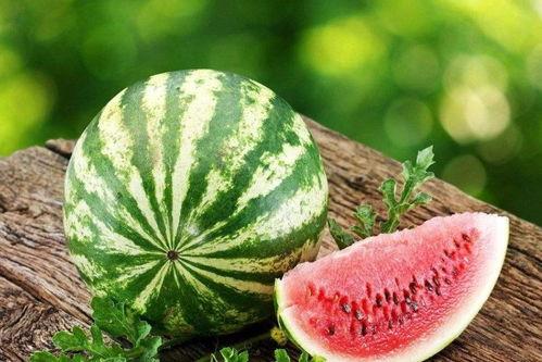 重文理吃瓜,揭秘娱乐圈背后的故事与真相