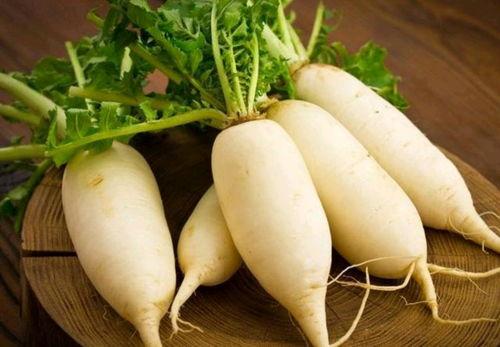 冬天吃瓜好还是吃萝卜好,瓜果与萝卜的冬日食趣对比