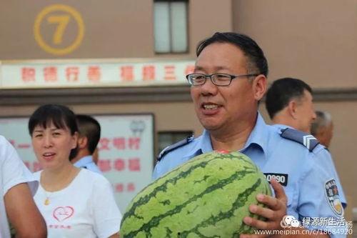 吃瓜汇总语录,揭秘网络热议背后的趣味与真相