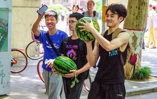 吃瓜酒店学生,揭秘校园里的神秘学生生活圈