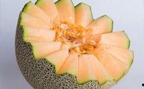 哈密瓜能与螃蟹一起吃嘛,哈密瓜与螃蟹同食的注意事项解析