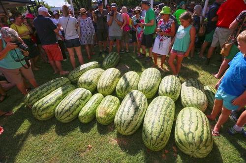 无手瓜咋吃,解锁美味新境界