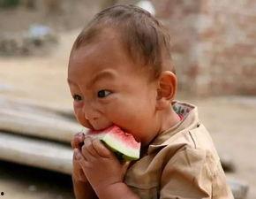 认真吃瓜的图片,揭秘网络热图的背后故事