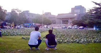 萍乡学院吃瓜事件