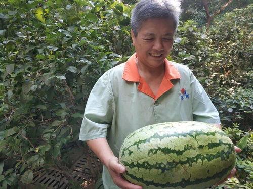 物业吃瓜,揭秘社区那些事儿