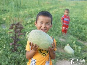 最硬的吃瓜群众,最硬的吃瓜群众带你领略幕后风云