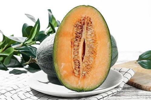 小鹿吃哈密瓜吗,探索小鹿与哈密瓜的奇妙邂逅