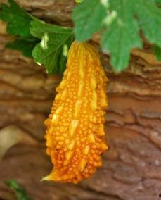 内黄吃瓜群2022,年度热议话题大盘点