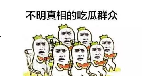 吃瓜群众丁胜,揭秘娱乐圈幕后风云