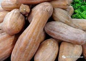 老方瓜都能怎么吃,解锁美味新境界