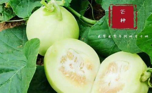 翰林府吃瓜内容,揭秘宫廷秘闻与权谋较量