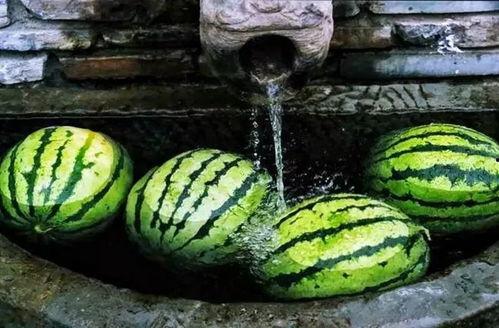 麦麦吃瓜了,揭秘娱乐圈最新热点事件