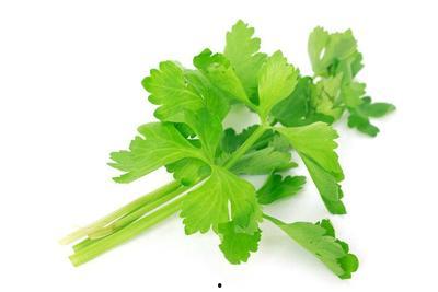 风寒感冒可以吃土瓜,缓解风寒感冒的天然良药